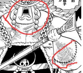  海贼王第804话佐乌篇章四皇凯多vs基德3人组路飞索隆新实力