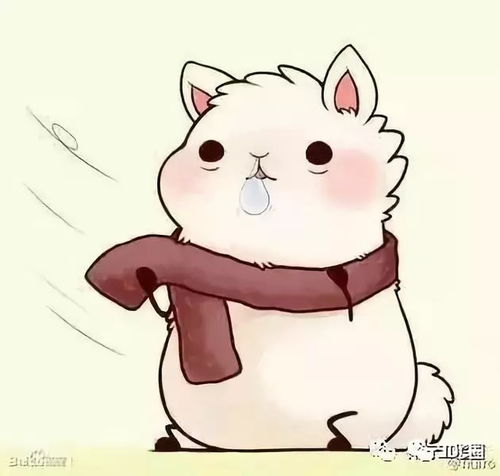 数据中心更新那么快,运维人如何度过35岁危机