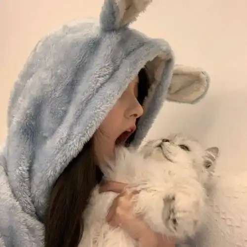 有没有一些有人有猫的女生头像 有没有一些有人有猫的女生头像