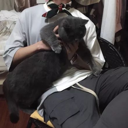  不论你承不承认和志同道合的人在一起就是会更快乐