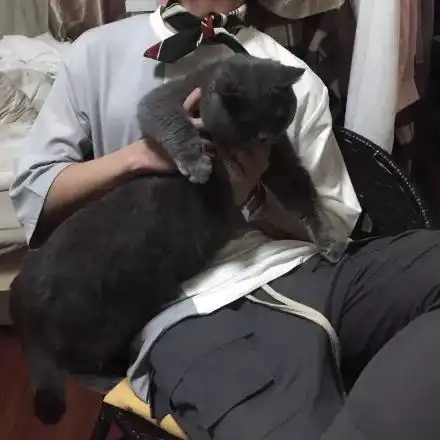 情侣头像真人不露脸看得