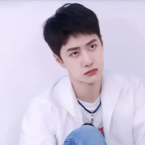  爱豆头像王一博