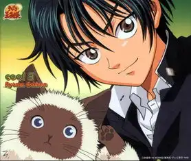 越前龙马侧身头像