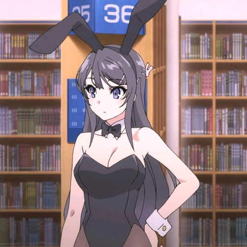  青春猪头少年兔女郎学姐之花枫和枫的感想