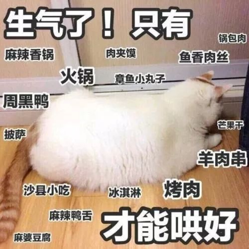搞怪表情图片真人头像动