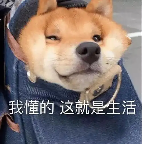  怀孕后被调离