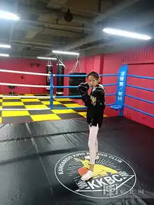 全民健身东北网小记者拳击体验活动开始啦 全民健身东北网小记者拳击体验活动开始啦