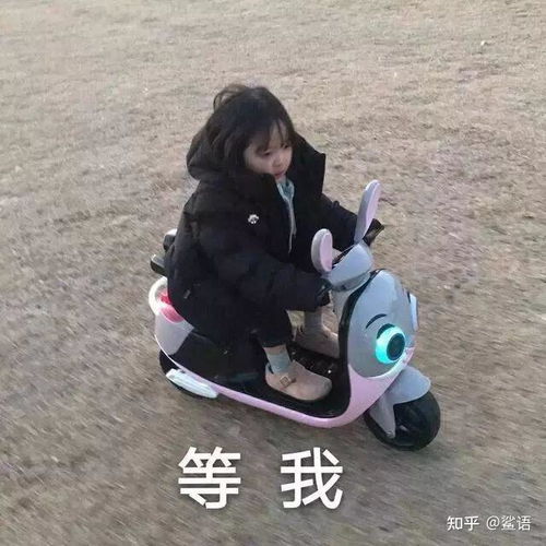  如何证明自己是沙雕文案大户