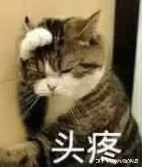  有什么带猫的适合男生用的头像