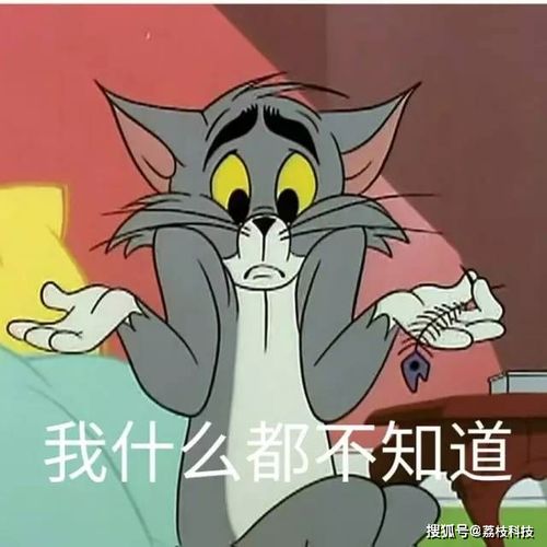  你已被移除群聊微信新功能刚出,就被玩坏了