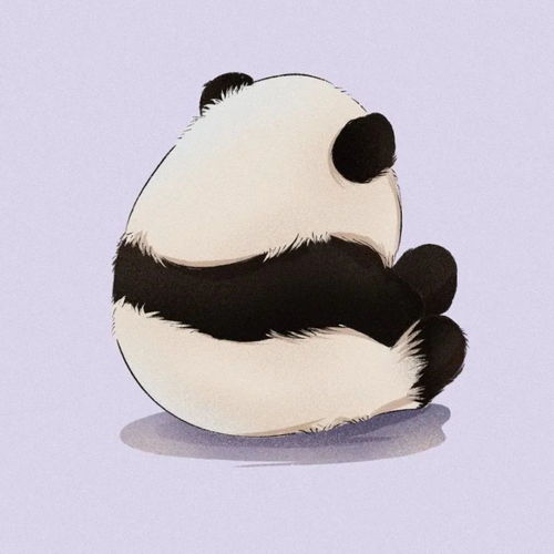  可爱熊猫头像壁纸
