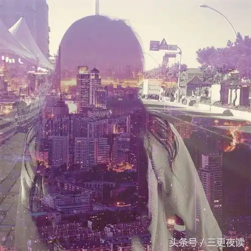  有些东西,因为太怕失去,所以不敢争取