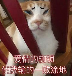  男朋友和十几只口红同时掉进水里