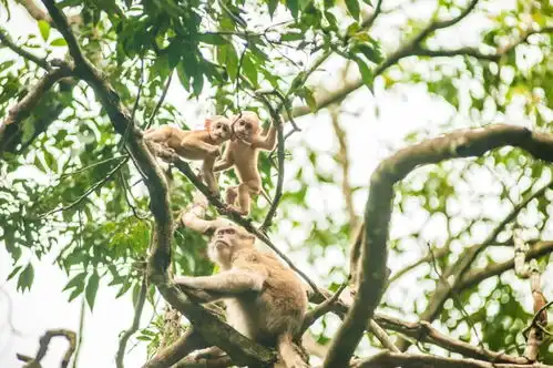 奔着刘昊然去看的电影,却被强烈种草了这座云南宝藏小城 奔着刘昊然去看的电影,却被强烈种草了这座云南宝藏小城