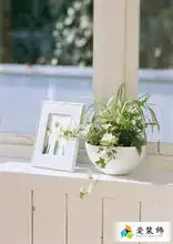 呆菊情侣头像家居风水