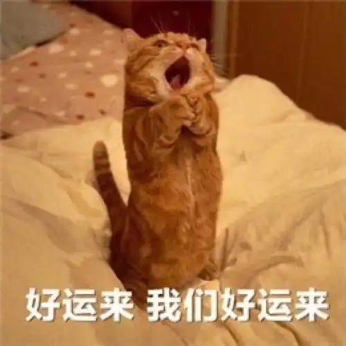  沙雕表情包l给大家整句英语cpdd