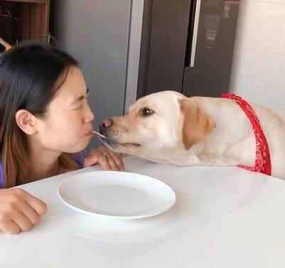  女主人跟狗狗合吃一根面,狗狗吃面的速度真快,狗狗我还没吃饱