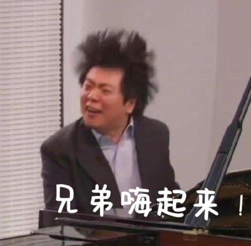  郎朗换新头像了疯了的老艺术家与周杰伦情头