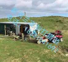  黄页88高清图片