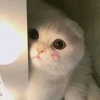  气温最低18周末深圳天气
