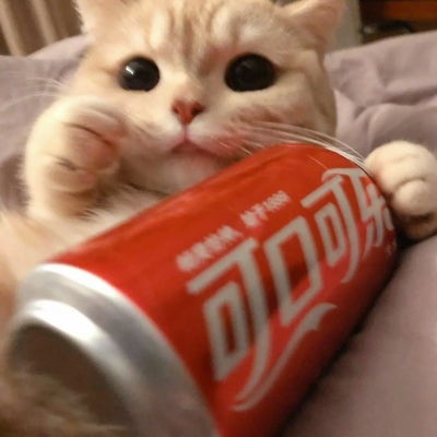  猫咪情头啊啊啊可爱