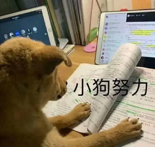 小白发问遇见没有投过简历的岗位面试邀约怎么办