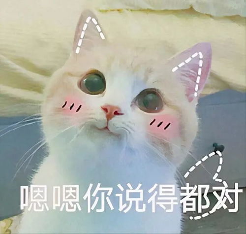  养猫的几大好处,其实是有科学依据,别不相信