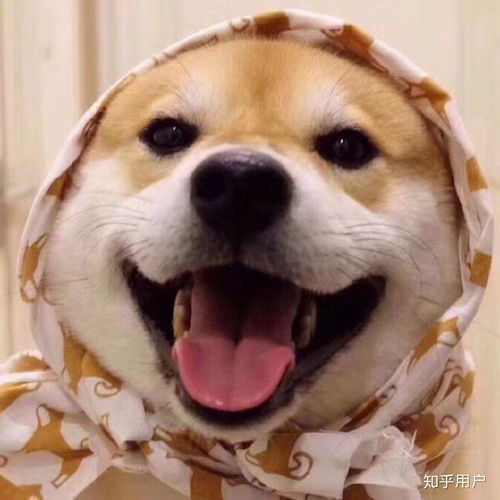  幽默感