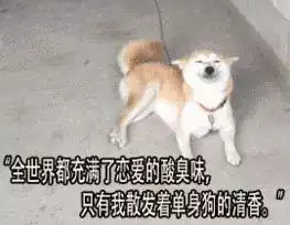  8天以后,孝感人不仅可以享受假期,还能有更刺激的消息