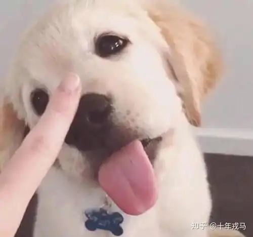  如何快速判断一个人的大致三观