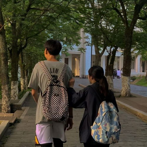  把儿媳妇找回来吧,她不要彩礼,回不来了,她早就结婚了
