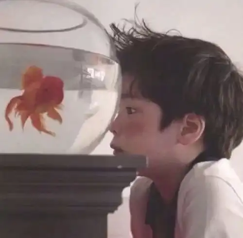  情侣头像小朋友版本