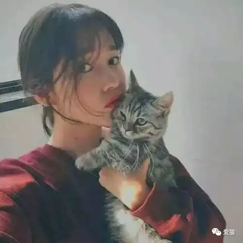  猫,为什么喜欢看人上厕所