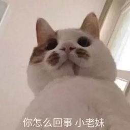  唐嫣罗晋大婚我劝你别看了,看得再多你也还是单身狗