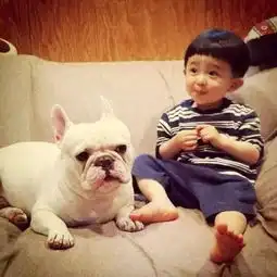  谁有这张图的高清图片,邮箱853835566qq.com,谢谢
