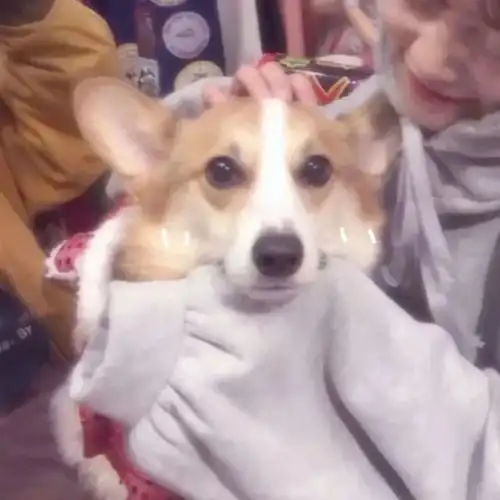  情侣头像你一定不知道吧,我曾偷偷喜欢过你