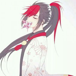 撒浪嘿呦,撒浪嘿呦too