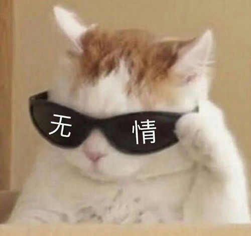  哈哈哈沙雕表情包