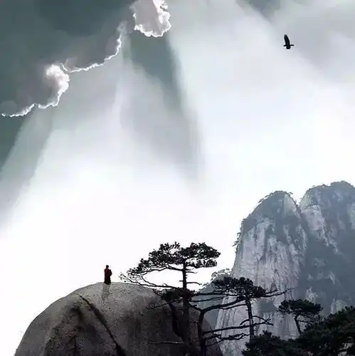 女人是不是好女人,看微信头像就一清二楚 女人是不是好女人,看微信头像就一清二楚