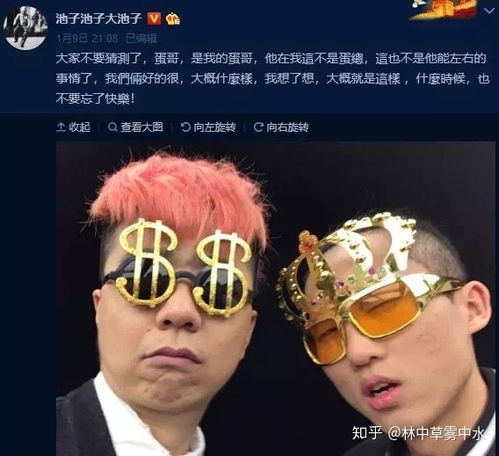  池子有王冠,李诞有钱