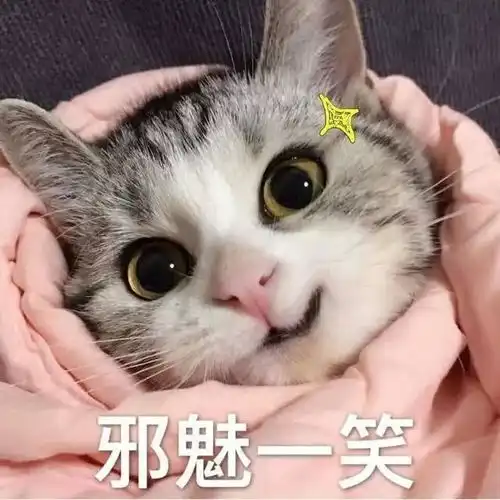  雷锋一条街跑跑总动员公益你我他