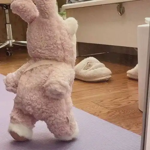 头像可可爱爱的动物头像,愿你新的一年也可可爱爱 头像可可爱爱的动物头像,愿你新的一年也可可爱爱