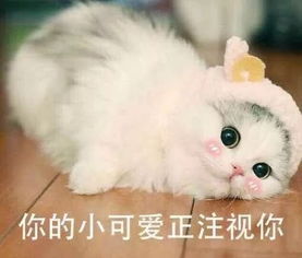  发这种表情包的男生,还是删了吧