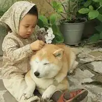  小柴犬和小孩子头像微信头像图片大全