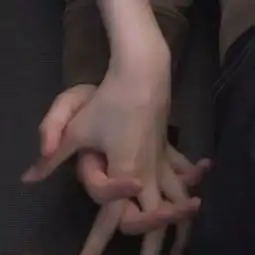  情侣头像执子之手与子偕老