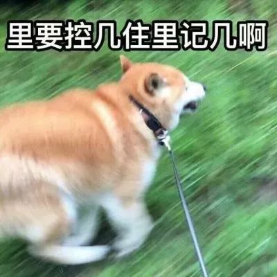  情人节快乐送大家一些沙雕情侣头像