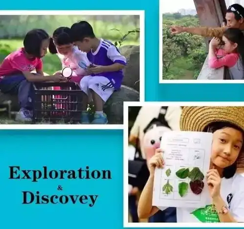  小小少年爱自然,5天玩转博物学