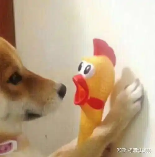  有没有表面上不像情侣头像的情侣头像
