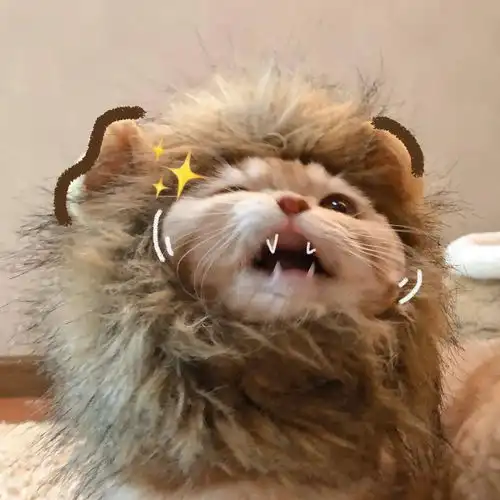  头像换个新头像,换个好心情头像