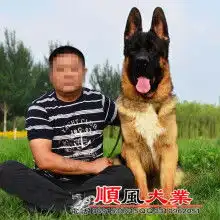  黄页88网